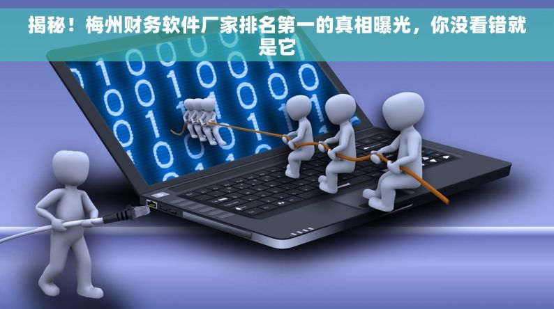 揭秘！梅州財務軟件廠家排名第一的真相，你沒看錯就是它